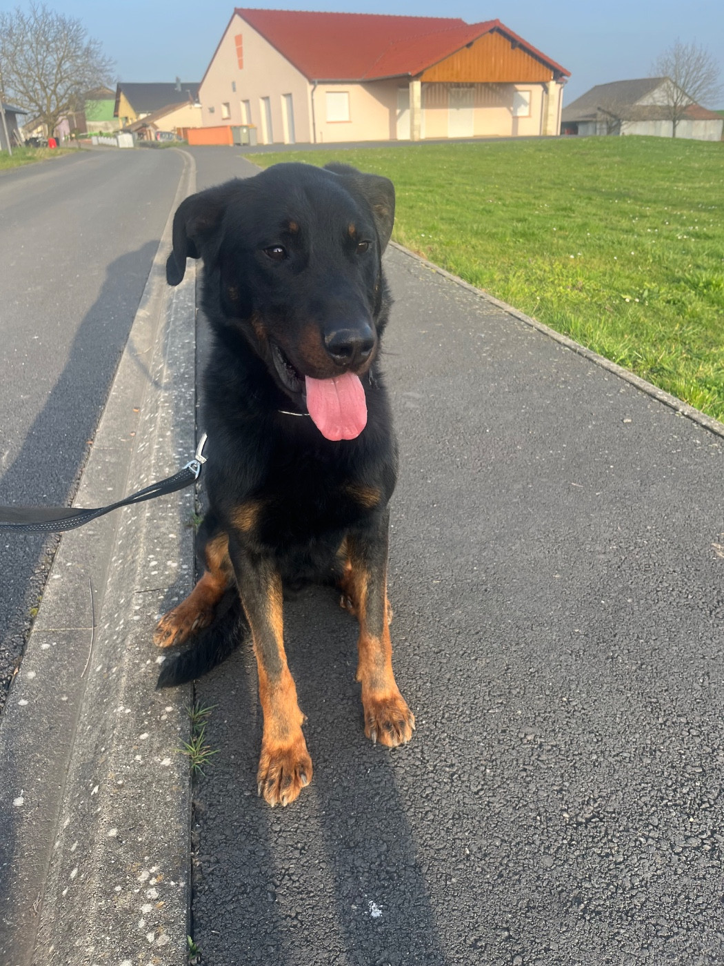 Voyage-voyage dit vygo des fontaines de l'eau salée